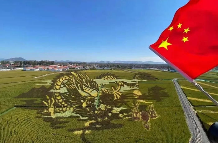 微信图片_20211026164747